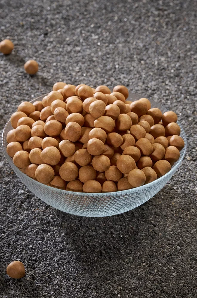 Soyalı Çıtır